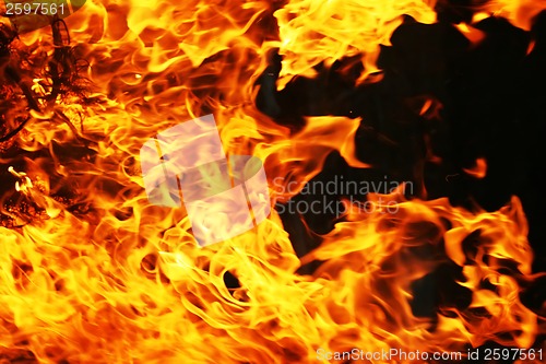 Image of Fire