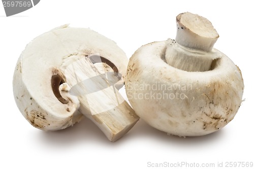 Image of Champignon mushrooms