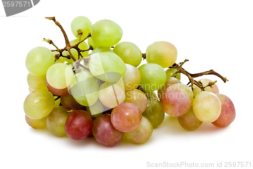 Image of Grapes