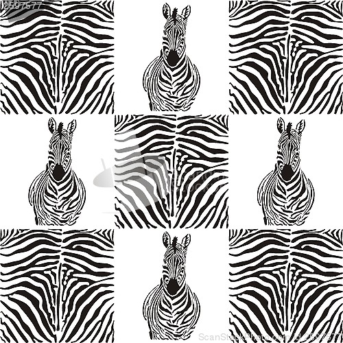 Image of Pattern zebras for textiles