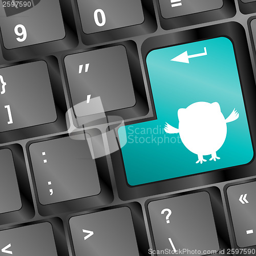 Image of owl sign on computer keyboard key button