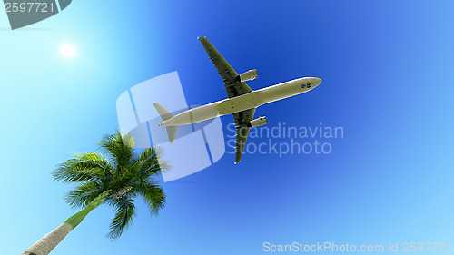Image of Airplane over the palm tree