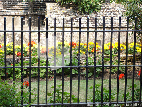 Image of Flowers in a garden