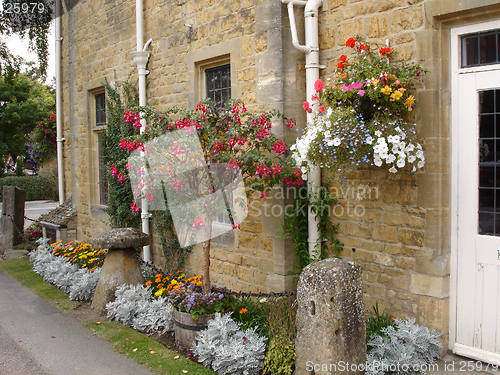 Image of Flowers in a garden