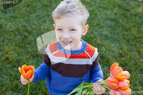 Image of spring time