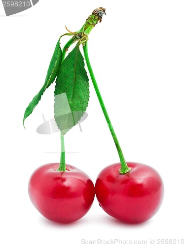 Image of Red cherry