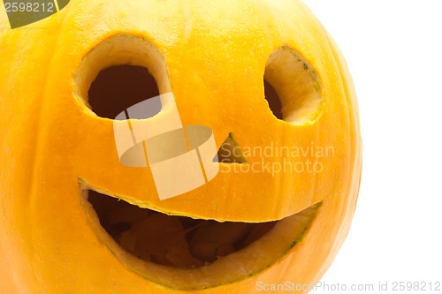Image of Halloween pumpkin
