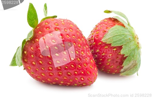 Image of Strawberry