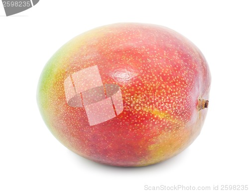Image of Mango