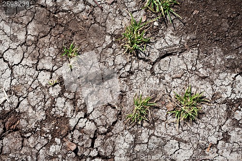 Image of Dry land