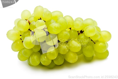 Image of Grapes