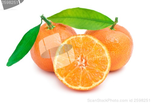 Image of Tangerines