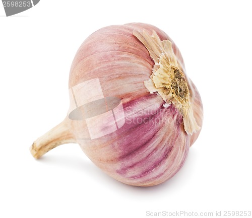 Image of Garlic