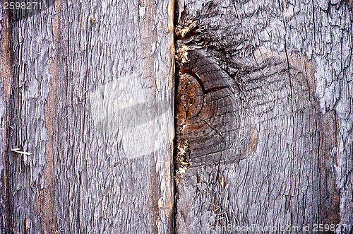 Image of Rustic Wooden Background