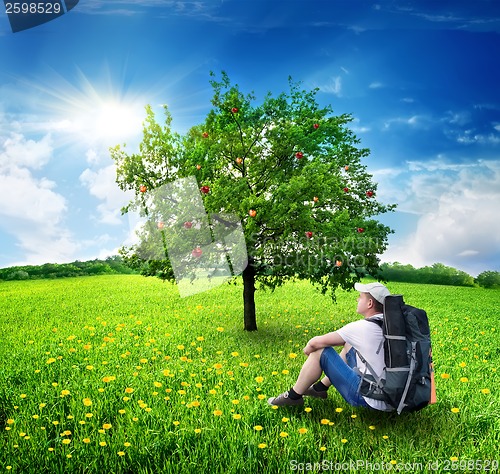 Image of Tourist and apple-tree