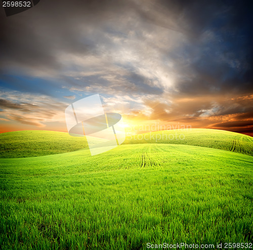 Image of Field at sunset