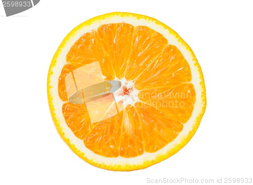 Image of Orange