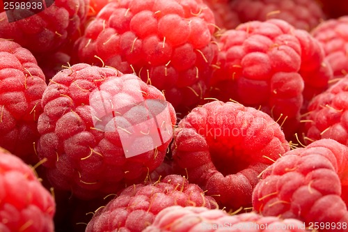Image of Raspberries