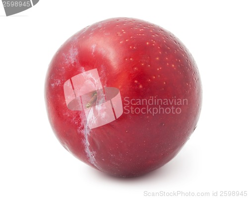 Image of Plums