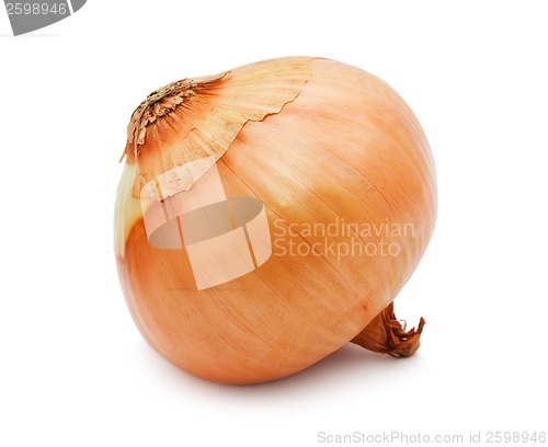 Image of Onion