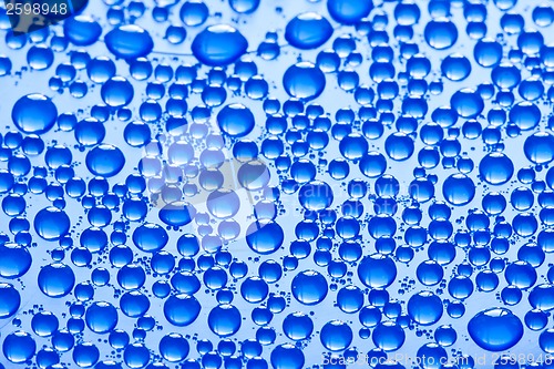 Image of Water drops