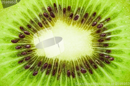 Image of Kiwi