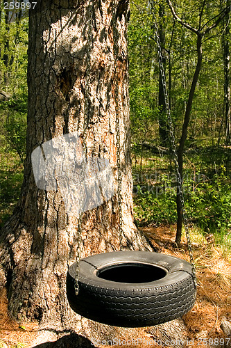 Image of Tire Swing