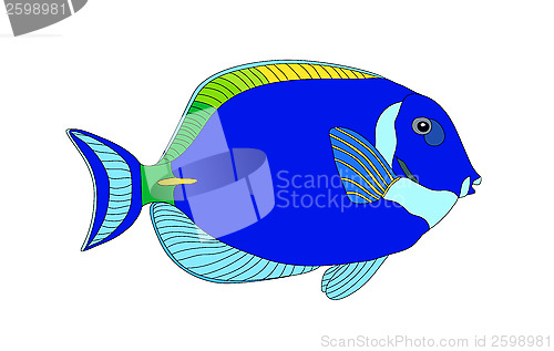 Image of Fish