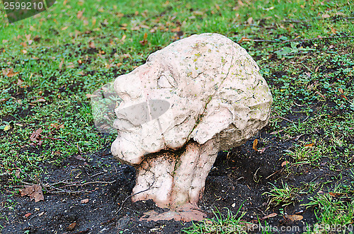Image of The man in the grass