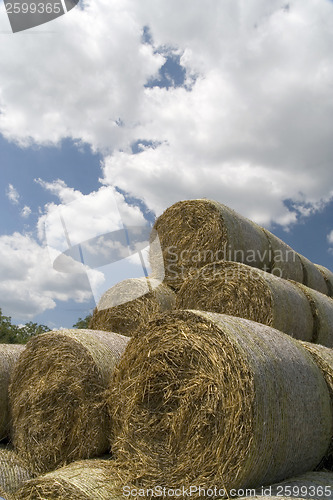 Image of Hay