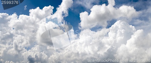 Image of SpringSky