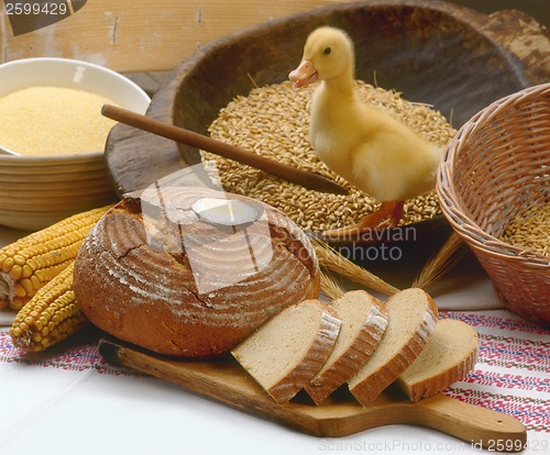 Image of BreadAndDuck