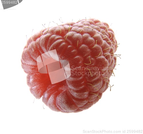 Image of Raspberry
