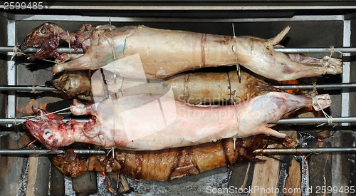 Image of Lamb Roast