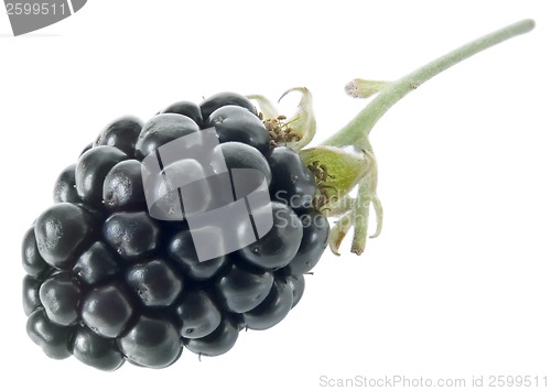 Image of BlackBerry