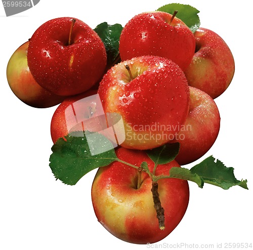 Image of Apples