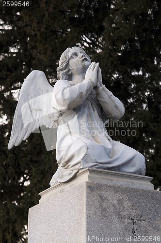 Image of Angel