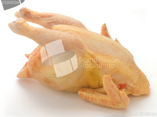 Image of Raw chicken