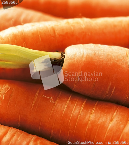 Image of Carrots