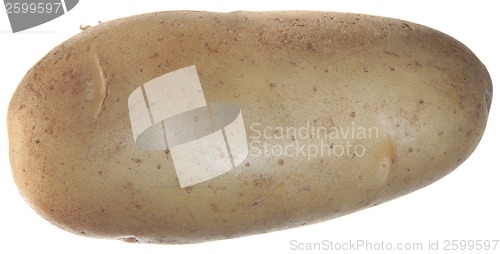 Image of Potato
