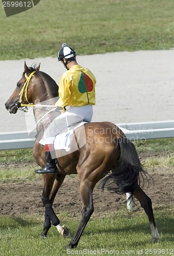 Image of Jockey