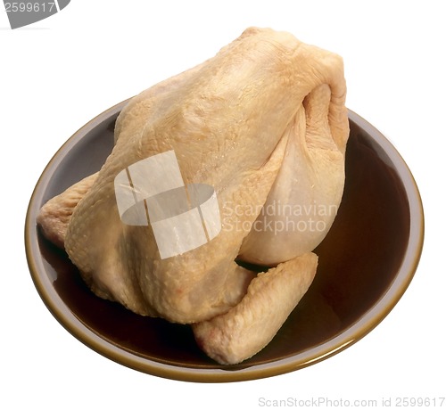 Image of Raw chicken