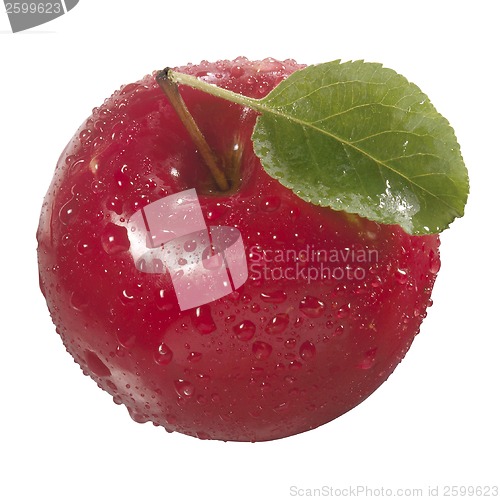 Image of One red apple