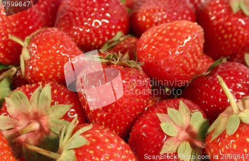 Image of Strawberrys