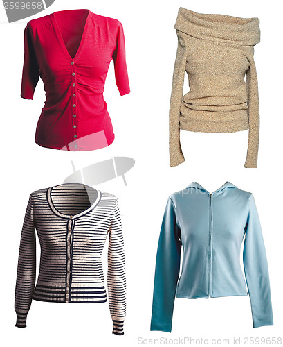 Image of Shirts