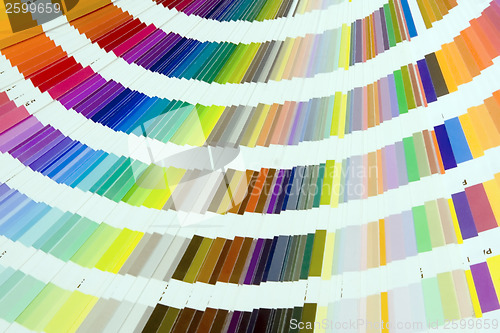 Image of Pantone colors