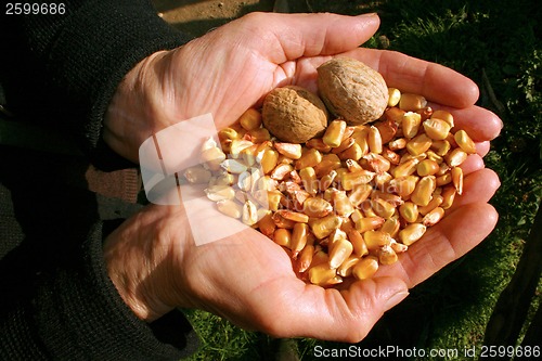 Image of Hands With Fall Goods