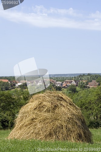 Image of Rural scene