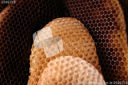 Image of Bee hive