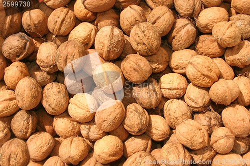 Image of Wallnut background